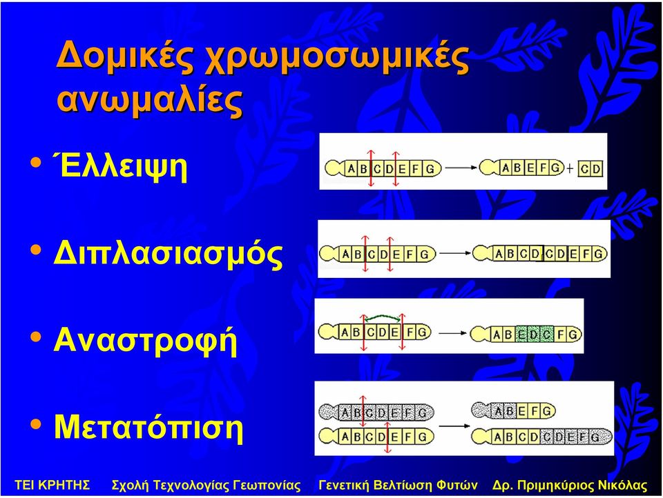 ανωµαλίες Έλλειψη