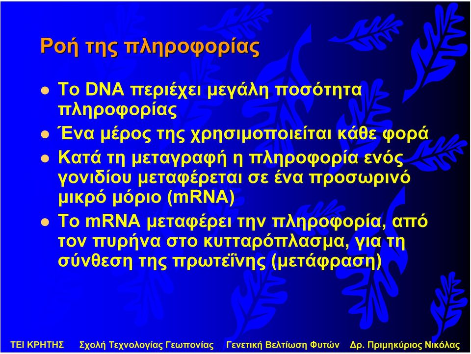 µεταφέρεται σε ένα προσωρινό µικρό µόριο (mrna) Το mrna µεταφέρει την