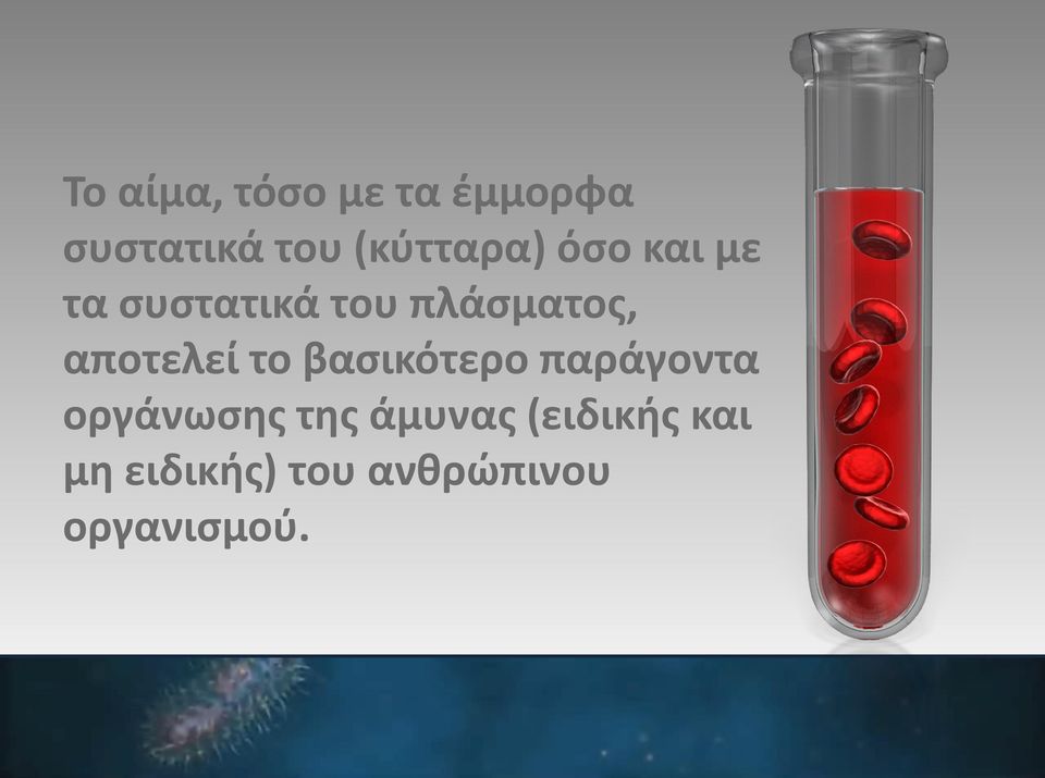 αποτελεί το βασικότερο παράγοντα οργάνωσης της