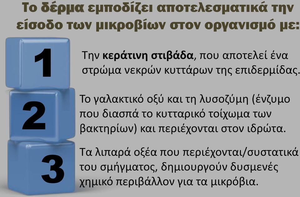 Το γαλακτικό οξύ και τη λυσοζύμη (ένζυμο που διασπά το κυτταρικό τοίχωμα των βακτηρίων) και