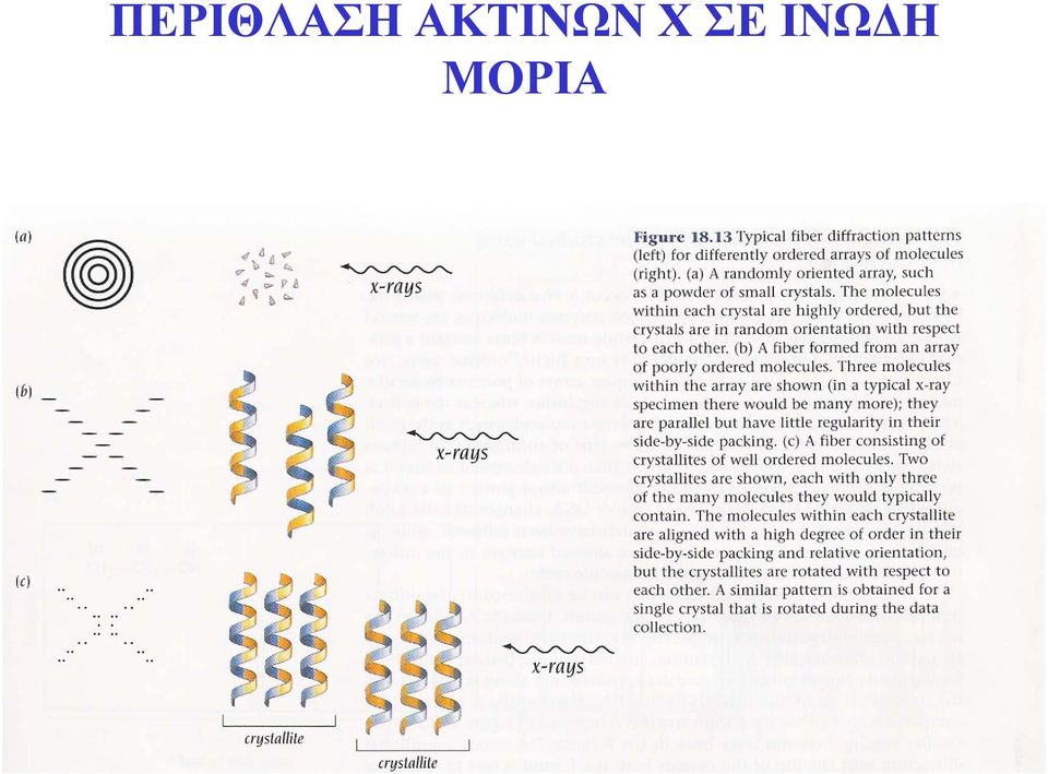 ΣΕ ΙΝΩΔΗ