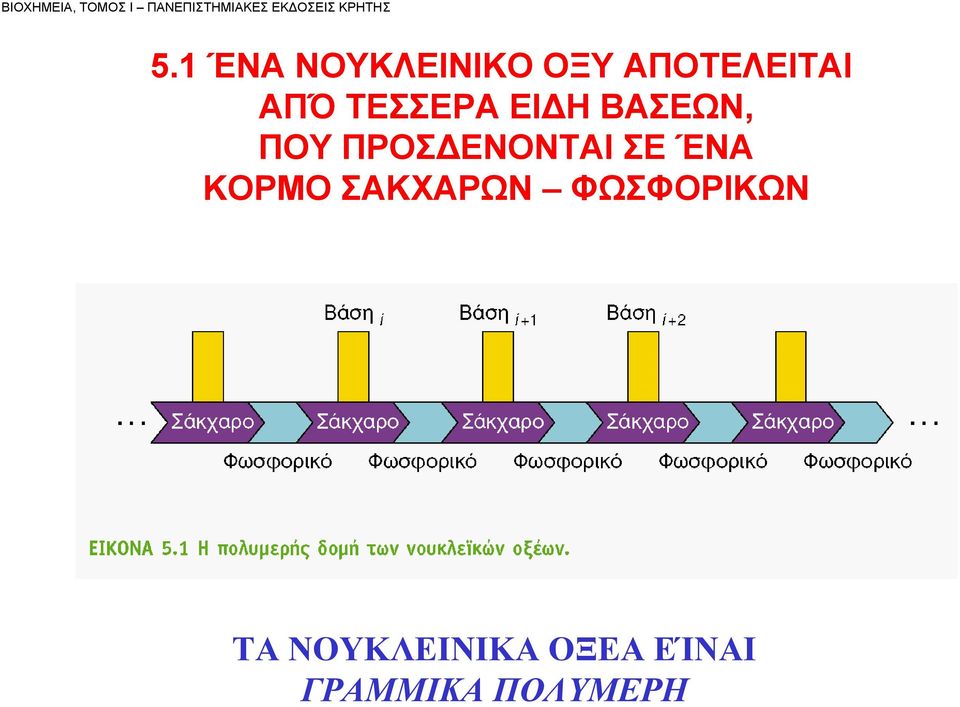 ΕΙΔΗ ΒΑΣΕΩΝ, ΠΟΥ ΠΡΟΣΔΕΝΟΝΤΑΙ ΣΕ ΈΝΑ ΚΟΡΜΟ ΣΑΚΧΑΡΩΝ