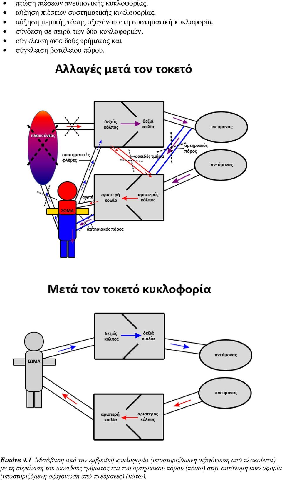 πόρου. Εικόνα 4.