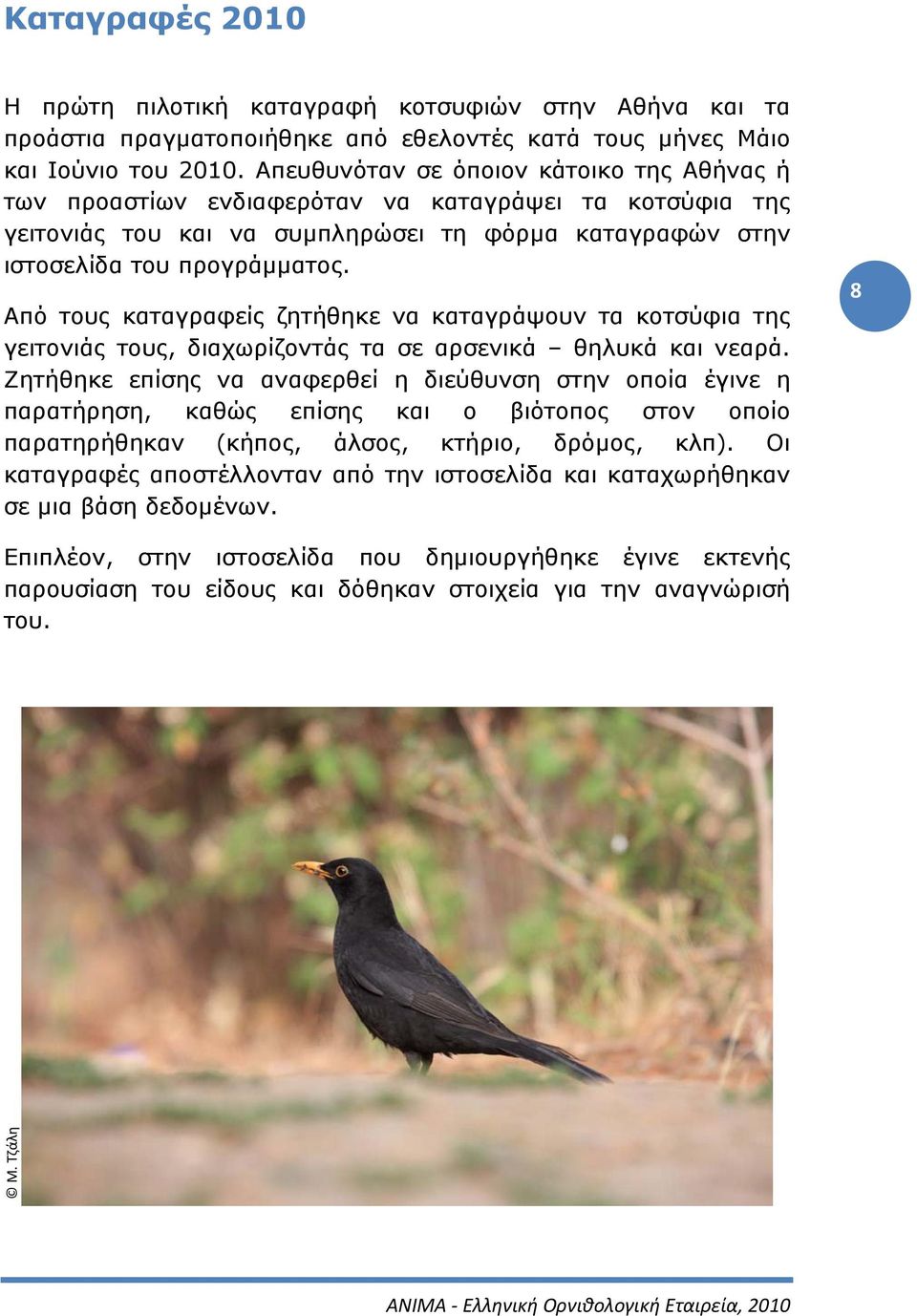 Από τους καταγραφείς ζητήθηκε να καταγράψουν τα κοτσύφια της γειτονιάς τους, διαχωρίζοντάς τα σε αρσενικά θηλυκά και νεαρά.