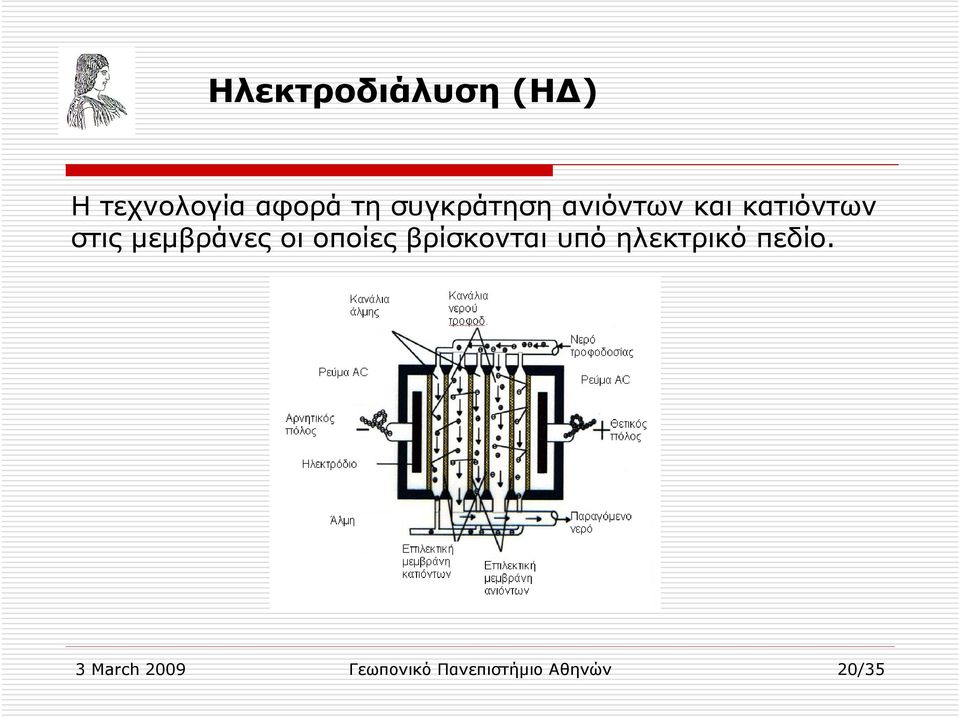 µεµβράνες οι οποίες βρίσκονται υπό ηλεκτρικό