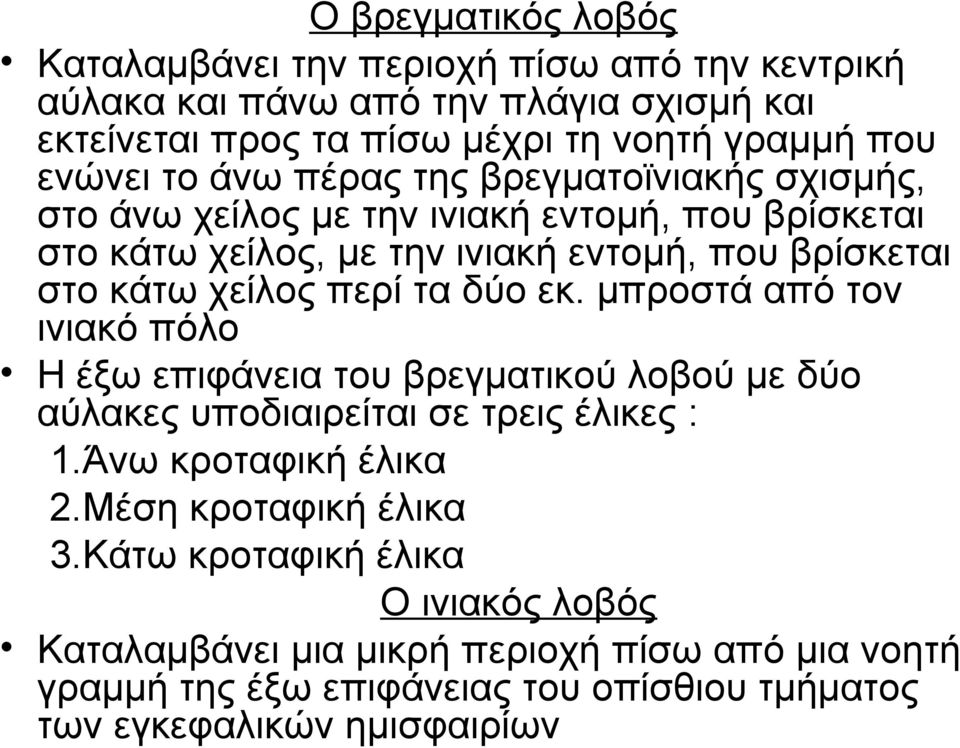 τα δύο εκ. μπροστά από τον ινιακό πόλο Η έξω επιφάνεια του βρεγματικού λοβού με δύο αύλακες υποδιαιρείται σε τρεις έλικες : 1.Άνω κροταφική έλικα 2.