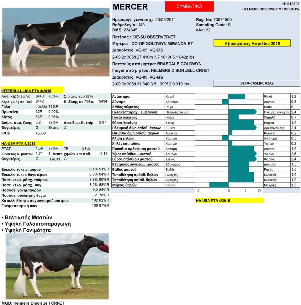 1 842p lbs Παππούρ από μηηέπα: BRAEDALE GOLDWYN Γιαγιά από μηηέπα: HELMERS DISON JELL CRI-ET Γηαθξίζεηο: VG-85, VG-MS 2-00 3x 305d 31,340 3.5 1099f 2.9 919 lbs Καθ. κέπδ.