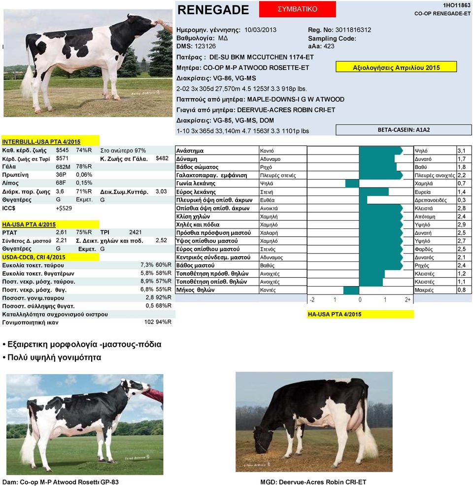 5 1253f 3.3 918p lbs. Παππούρ από μηηέπα: MAPLE-DOWNS-I G W ATWOOD Γιαγιά από μηηέπα: DEERVUE-ACRES ROBIN CRI-ET Γηαθξίζεηο: VG-85, VG-MS, DOM 1-10 3x 365d 33,140m 4.7 1563f 3.