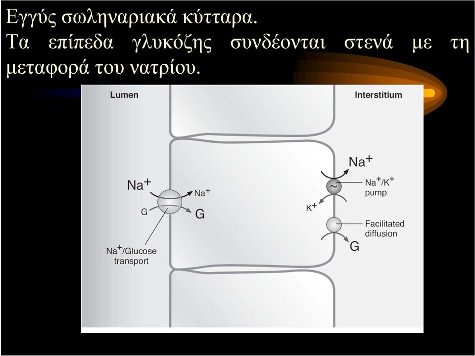 Τα επίπεδα γλυκόζης