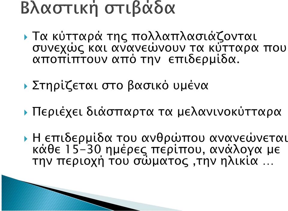 Στηρίζεται στο βασικό υµένα Περιέχει διάσπαρτα τα µελανινοκύτταρα Η