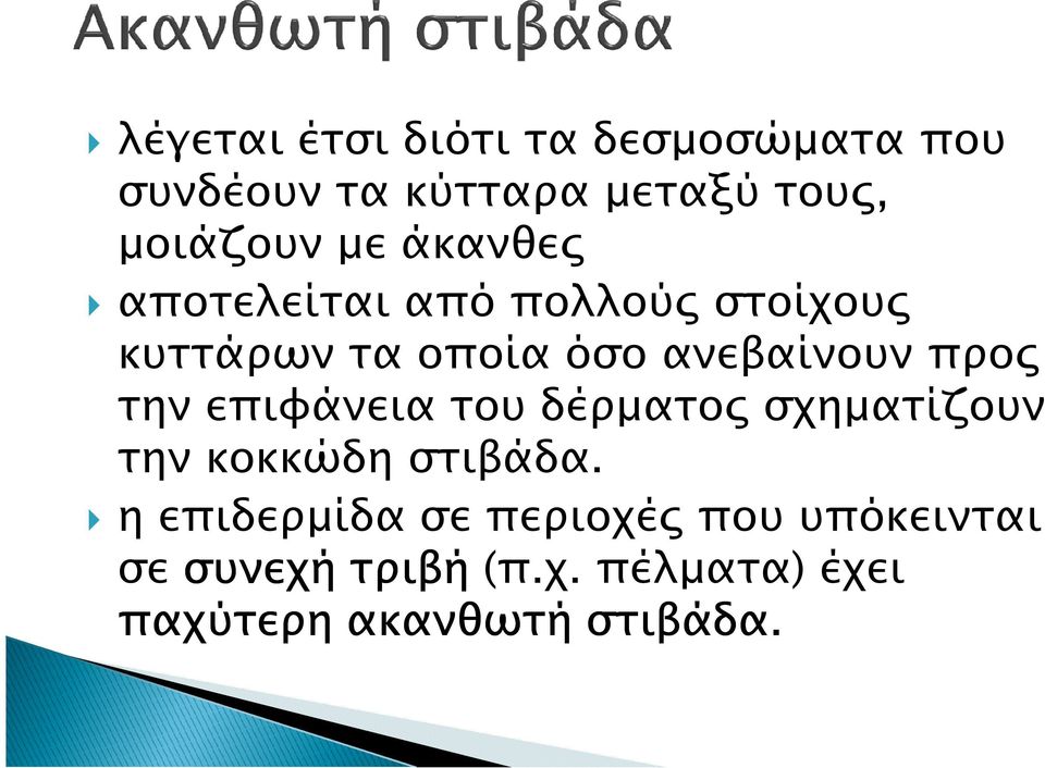 την επιφάνεια του δέρµατο σχηµατίζουν την κοκκώδη στιβάδα.