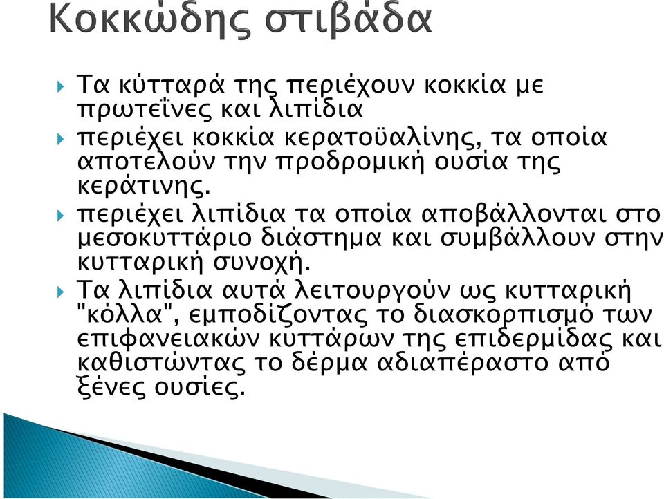 περιέχει λιπίδια τα οποία αποβάλλονται στο µεσοκυττάριο διάστηµα και συµβάλλουν στην κυτταρική συνοχή.