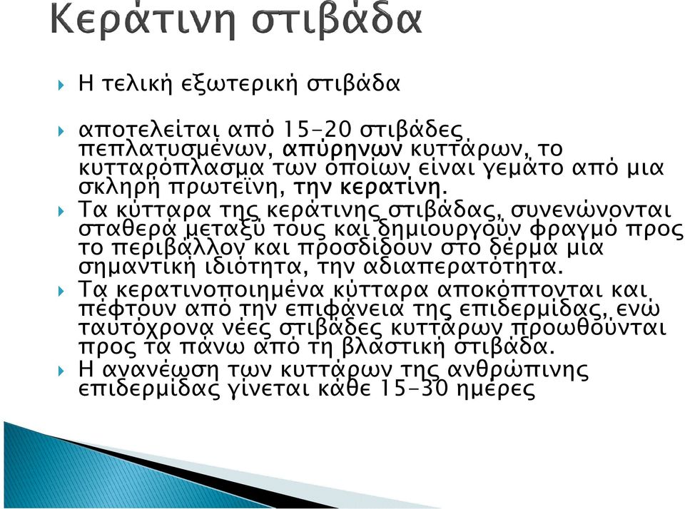 Τα κύτταρα τη κεράτινη στιβάδα, συνενώνονται σταθερά µεταξύ του και δηµιουργούν φραγµό προ το περιβάλλον και προσδίδουν στο δέρµα µία σηµαντική