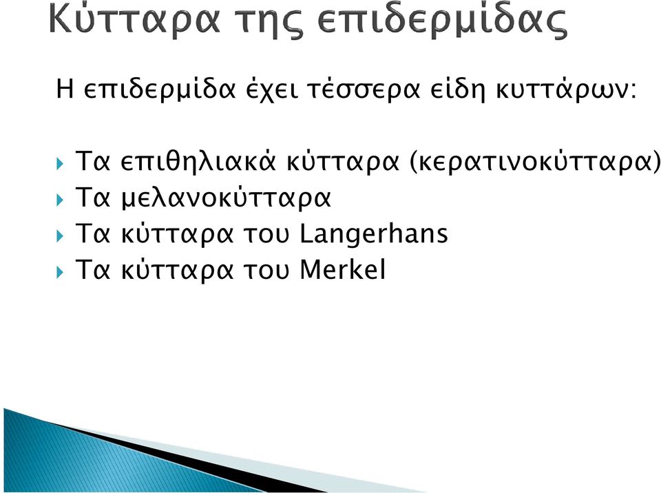 (κερατινοκύτταρα) Τα µελανοκύτταρα