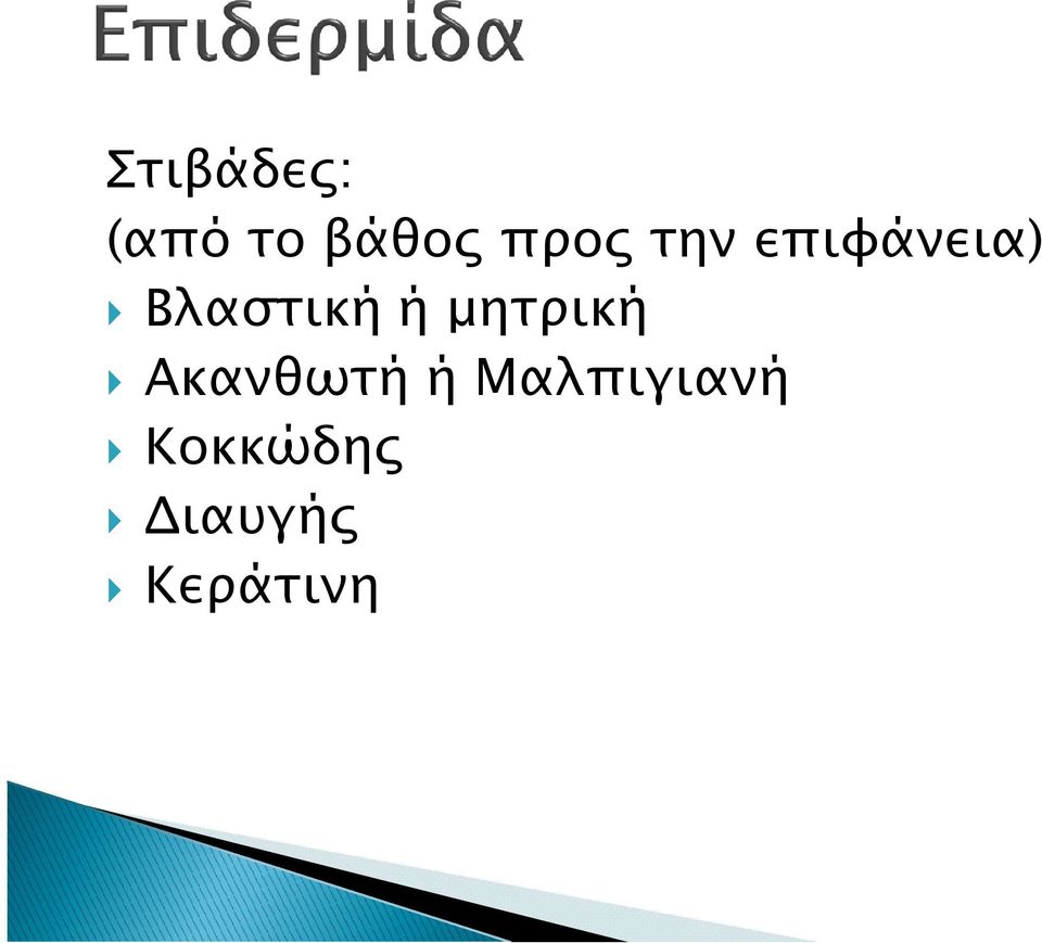 µητρική Ακανθωτή ή