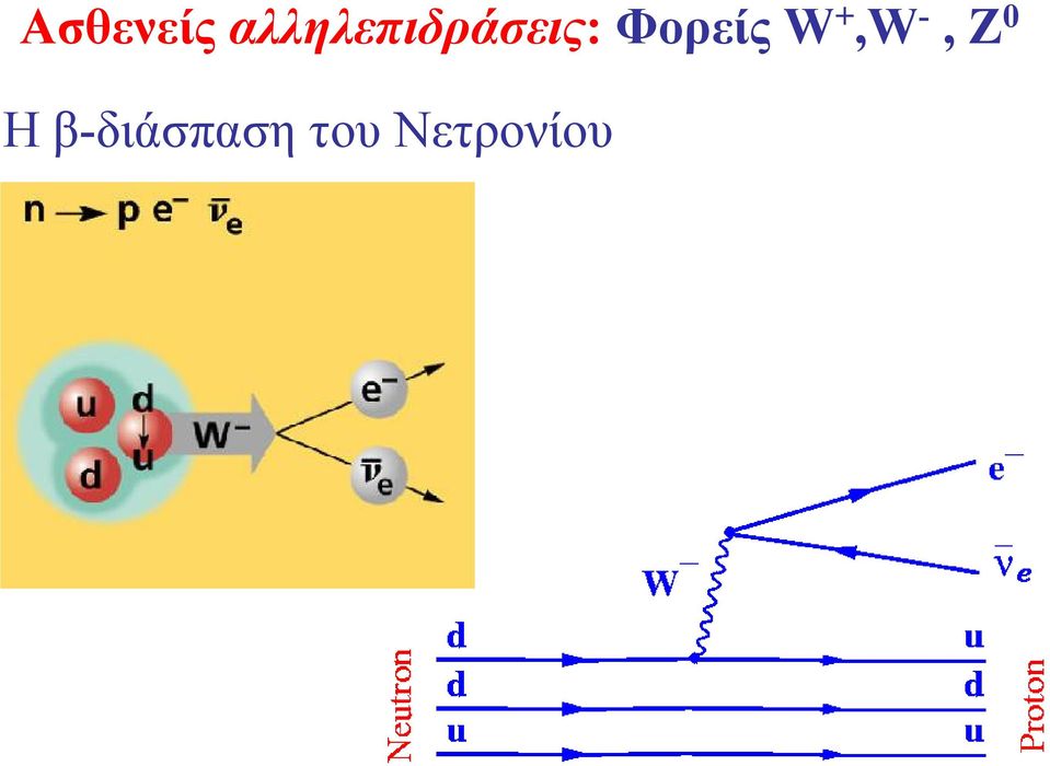 Φορείς W +,W -, Z