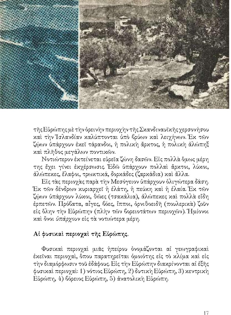 Ἐδῶ ὑπάρχουν πολλαὶ ἄρκτοι, λύκοι, ἀλώπεκες, ἔλαφοι, τρωκτικά, δορκάδες (ζαρκάδια) καὶ ἄλλα. Εἰς τὰς περιοχὰς παρὰ τὴν Μεσόγειον ὑπάρχουν ὀλιγώτερα δάση.