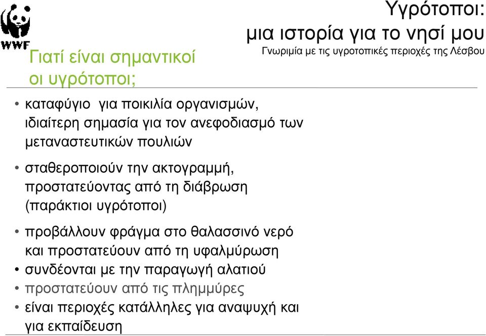 προστατεύουν από τη υφαλμύρωση συνδέονται με την παραγωγή αλατιού προστατεύουν από τις πλημμύρες είναι περιοχές κατάλληλες για