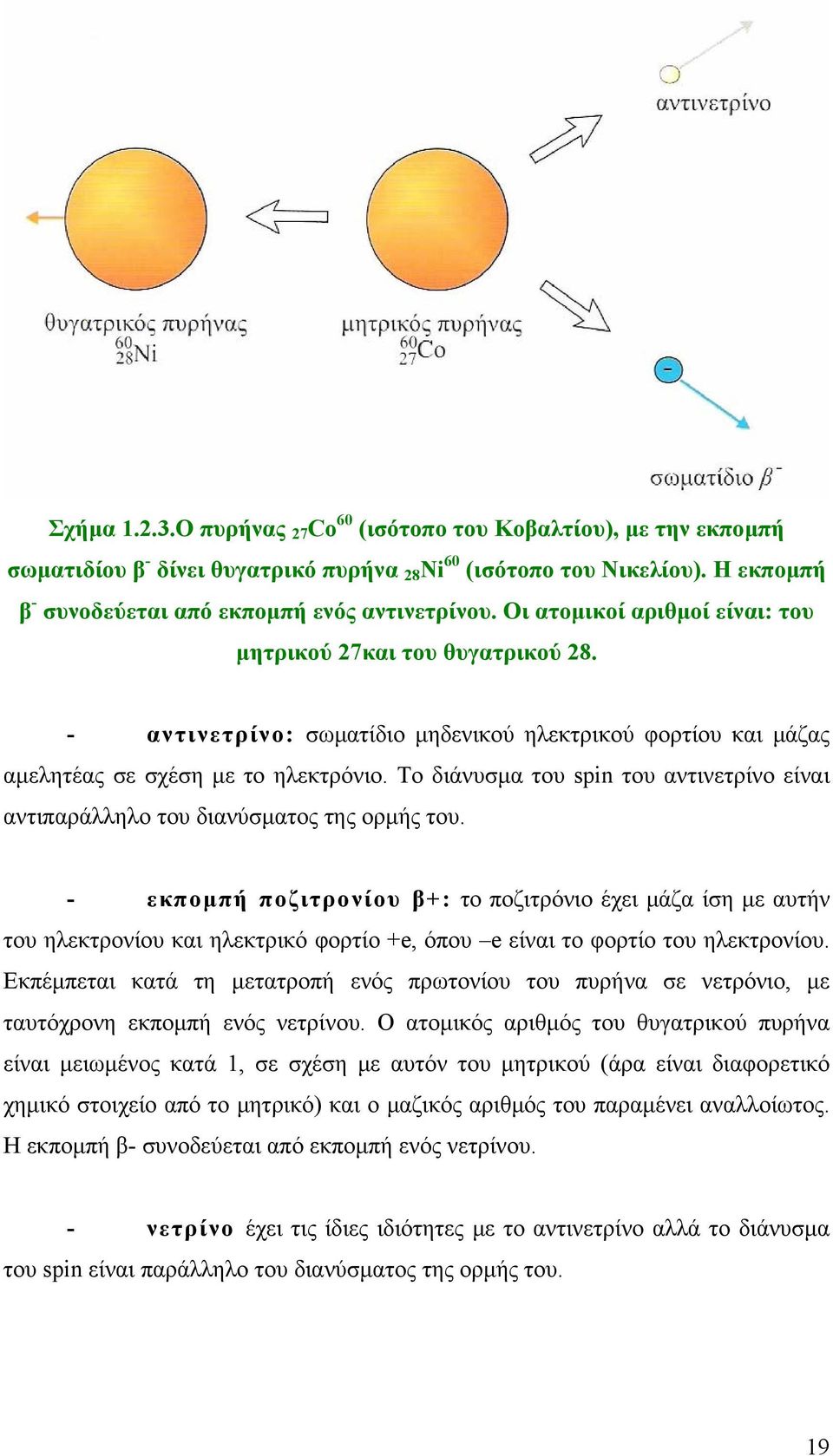 Το διάνυσμα του spin του αντινετρίνο είναι αντιπαράλληλο του διανύσματος της ορμής του.