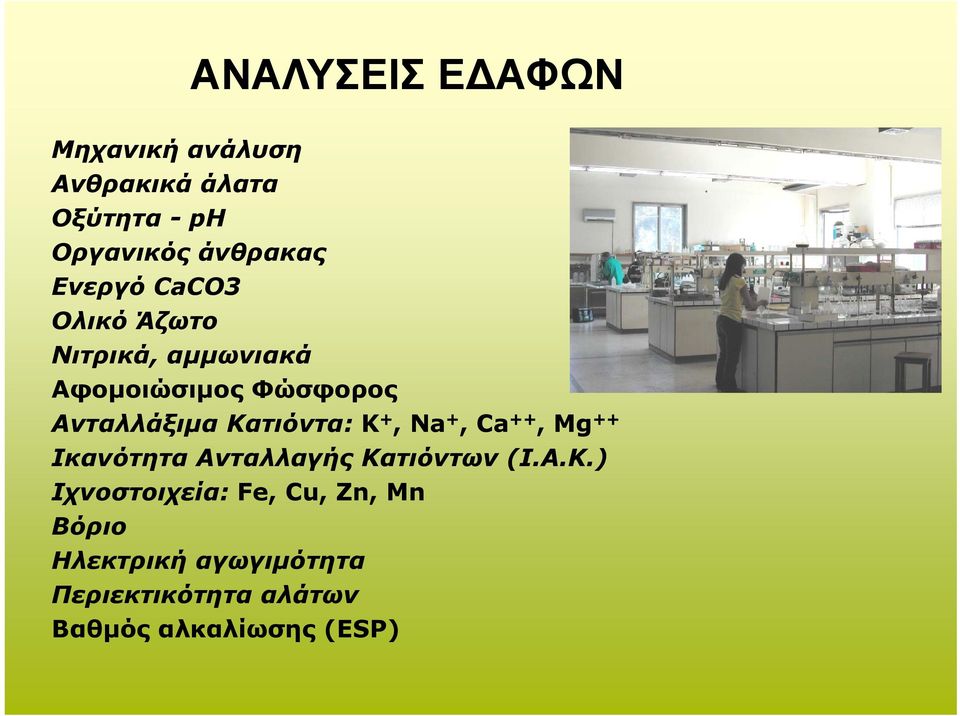 Κατιόντα: K +, Na +, Ca ++, Mg ++ Ικανότητα Ανταλλαγής Κατιόντων (Ι.Α.Κ.)