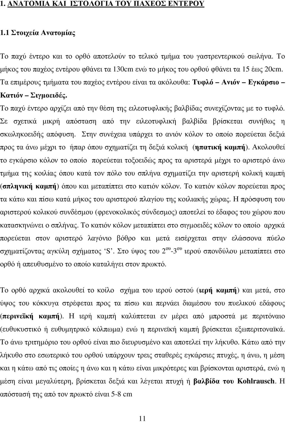 Το παχύ έντερο αρχίζει από την θέση της ειλεοτυφλικής βαλβίδας συνεχίζοντας µε το τυφλό. Σε σχετικά µικρή απόσταση από την ειλεοτυφλική βαλβίδα βρίσκεται συνήθως η σκωληκοειδής απόφυση.