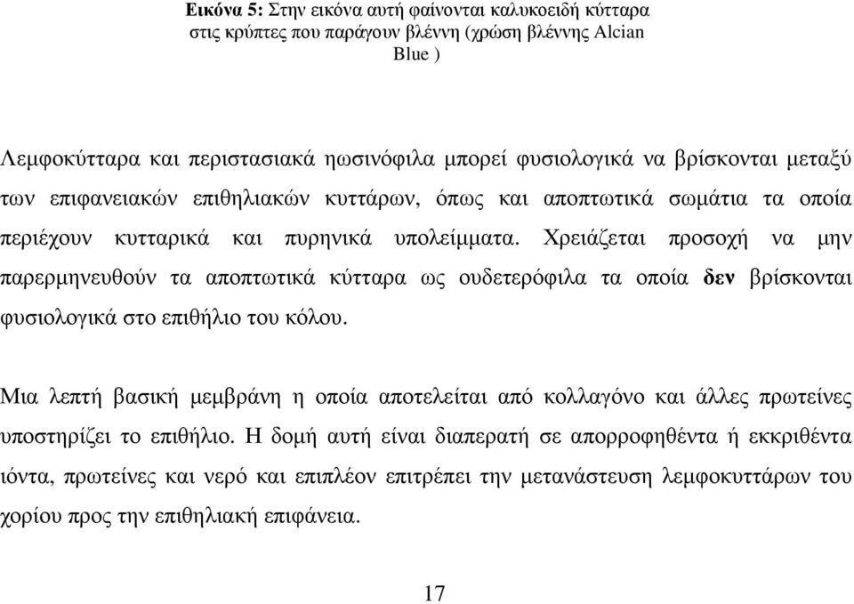 Χρειάζεται προσοχή να µην παρερµηνευθούν τα αποπτωτικά κύτταρα ως ουδετερόφιλα τα οποία δεν βρίσκονται φυσιολογικά στο επιθήλιο του κόλου.