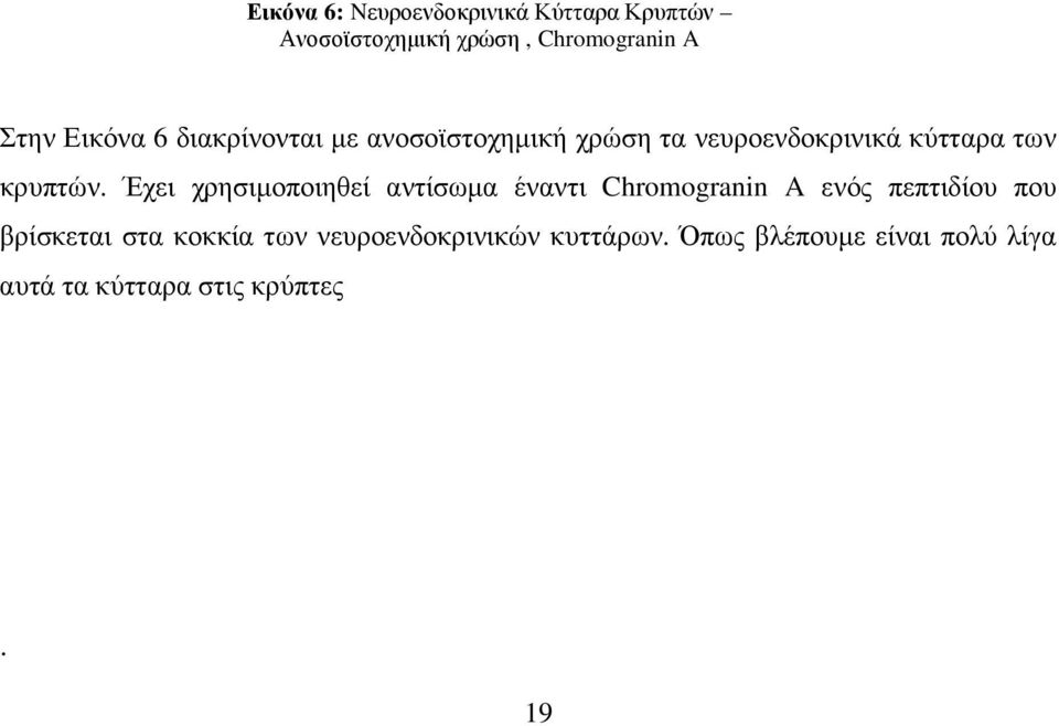 Έχει χρησιµοποιηθεί αντίσωµα έναντι Chromogranin A ενός πεπτιδίου που βρίσκεται στα