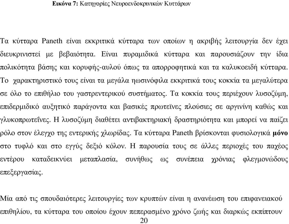 Το χαρακτηριστικό τους είναι τα µεγάλα ηωσινόφιλα εκκριτικά τους κοκκία τα µεγαλύτερα σε όλο το επιθήλιο του γαστρεντερικού συστήµατος.