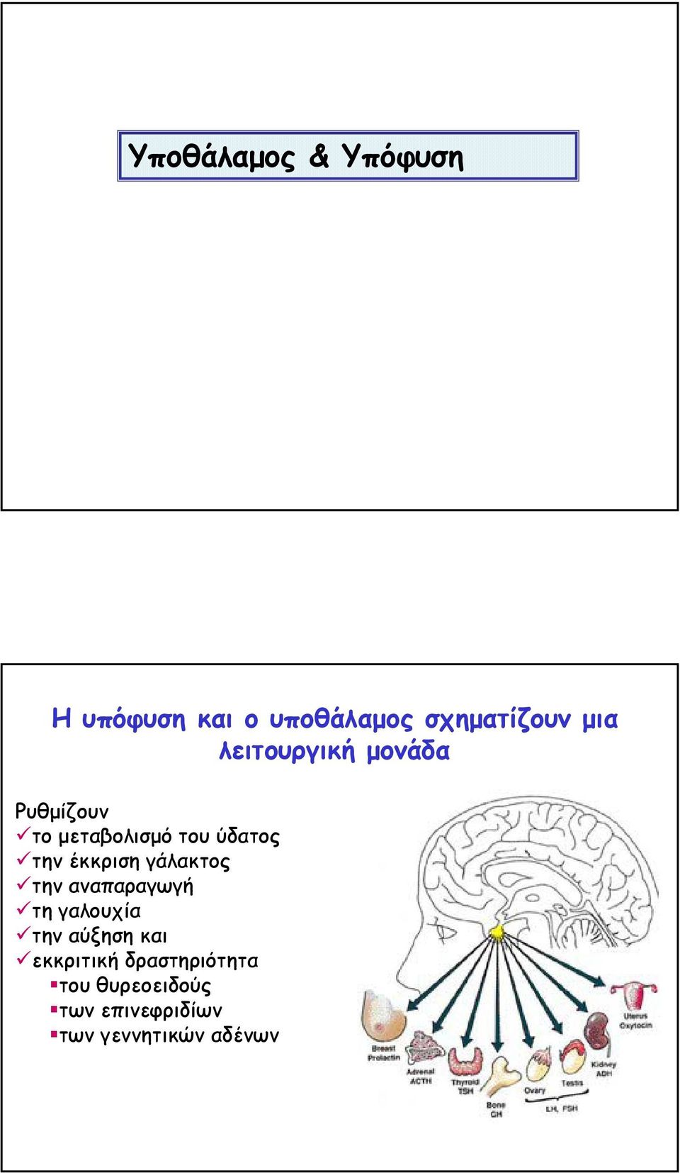 έκκριση γάλακτος την αναπαραγωγή τη γαλουχία την αύξηση και