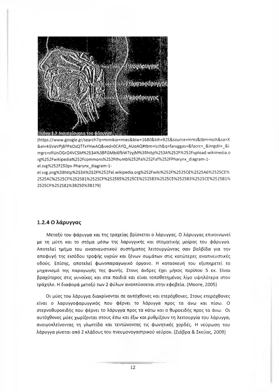 6fbW7zyjM%3Bhttp%253A%252F%252Fupload.wikimedia.o rg%252fwikipedia%252fcommons%252fthumb%252fa%252faf%252fpharynx_diagram-l- el.svg%252f250px-pharynx_diagram-l- el.svg.png%3bhttp%253a%252f%252fel.