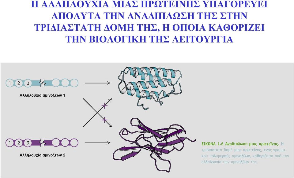 ΤΗΣ ΣΤΗΝ ΤΡΙΔΙΑΣΤΑΤΗ ΔΟΜΗ ΤΗΣ, Η