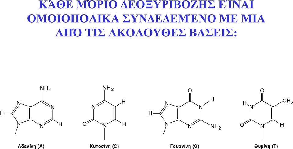 ΟΜΟΙΟΠΟΛΙΚΑ