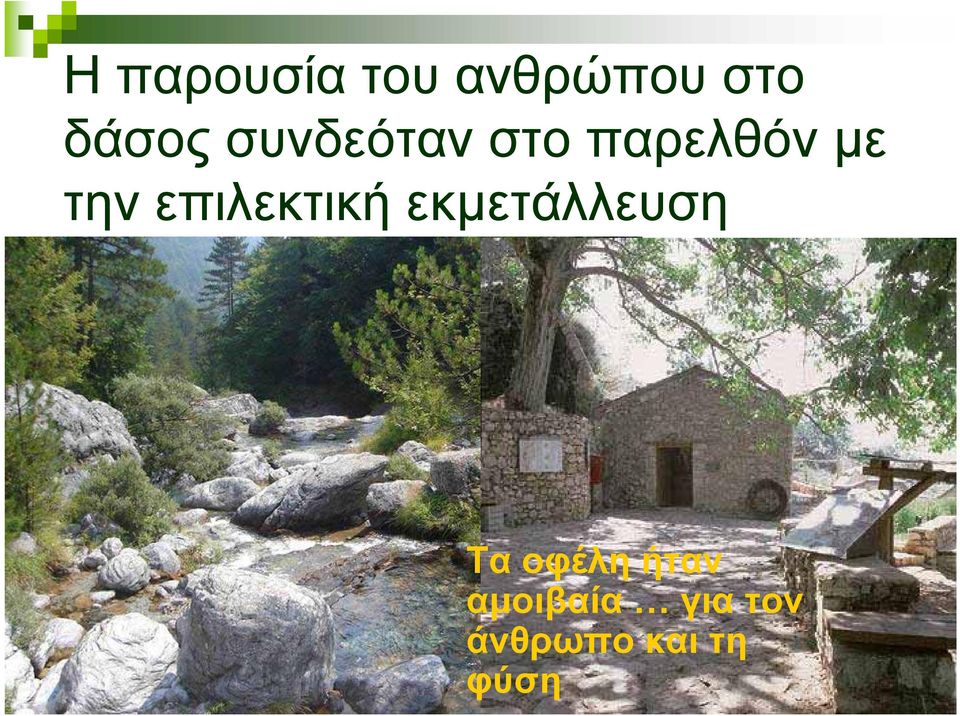 επιλεκτική εκµετάλλευση Τα οφέλη