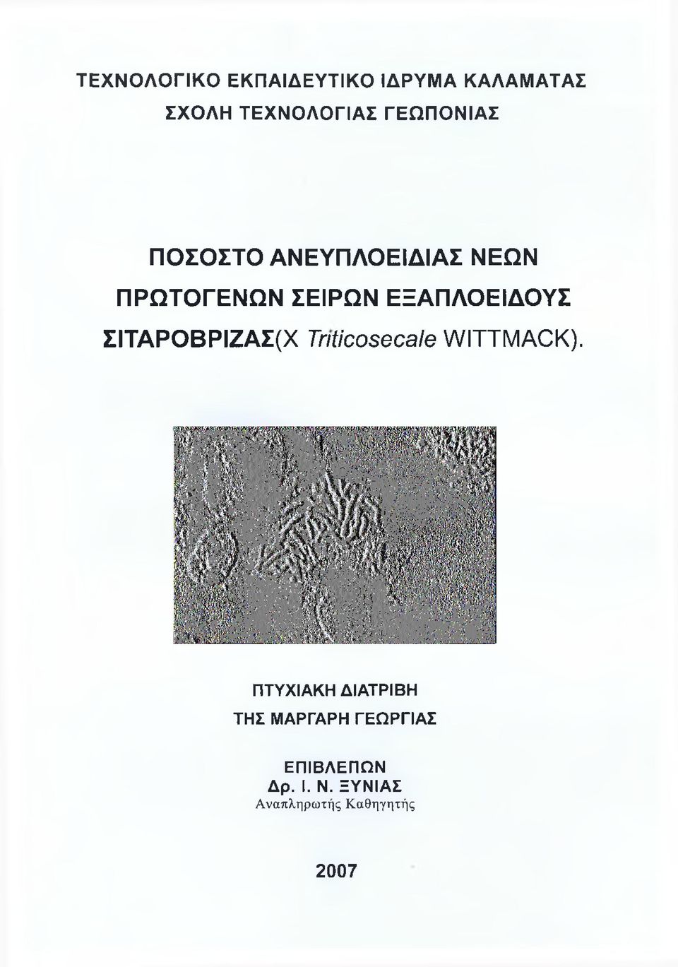 ΕΞΑΠΛΟΕΙΔΟΥΣ ΣΙΤΑΡΟΒΡΙΖΑΣ(Χ ΤηϋοοεΘΟθΙθ \Λ/ΙΤΤΜΑΟΚ).