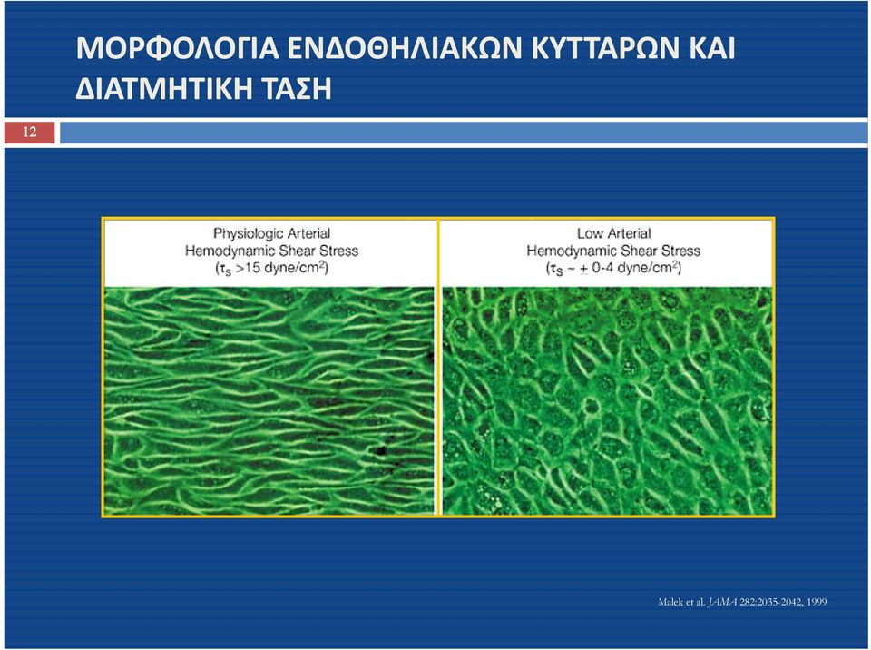 ΤΑΣΗ 12 Malek et al.