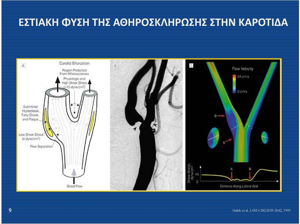 ΚΑΡΟΤΙΔΑ 9 Malek et