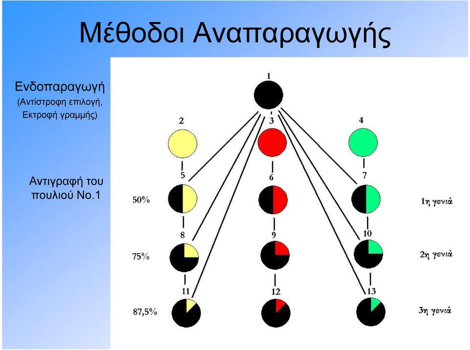 επιλογή, Εκτροφή