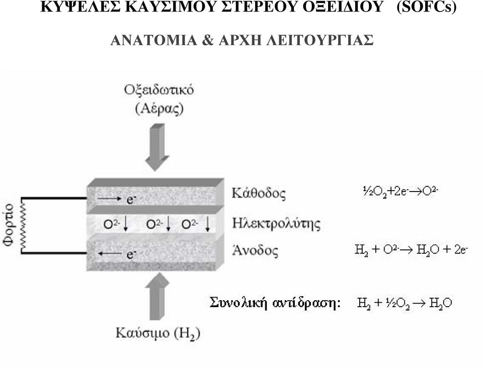 (SOFCs) ΑΝΑΤΟΜΙΑ