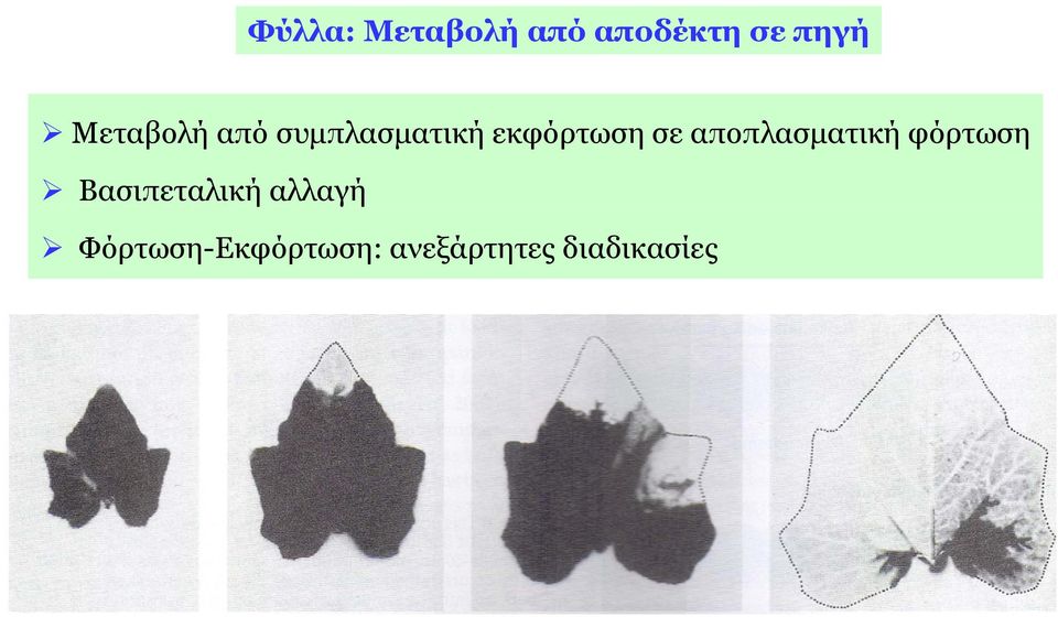 αποπλασματική φόρτωση Βασιπεταλική