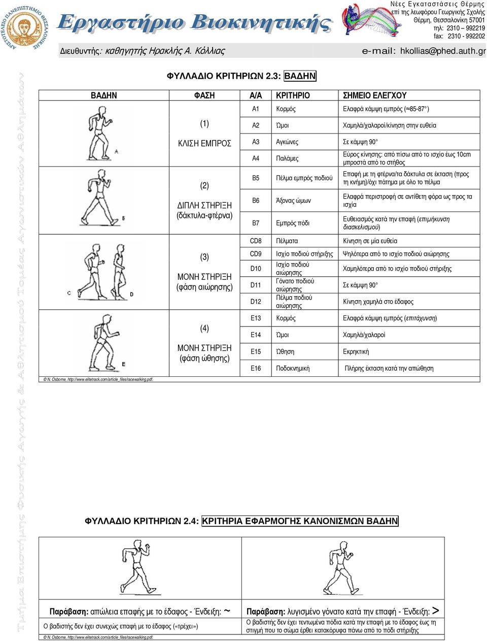 3: ΒΑΔΗΝ ΒΑΔΗΝ ΦΑΣΗ Α/Α ΚΡΙΤΗΡΙΟ ΣΗΜΕΙΟ ΕΛΕΓΧΟΥ Α1 Κορμός Ελαφρά κάμψη εμπρός ( 85-87 ) (1) Α2 Ώμοι Χαμηλά/χαλαροί/κίνηση στην ευθεία ΚΛΙΣΗ ΕΜΠΡΟΣ (2) ΔΙΠΛΗ ΣΤΗΡΙΞΗ (δάκτυλα-φτέρνα) (3) ΜΟΝΗ ΣΤΗΡΙΞΗ