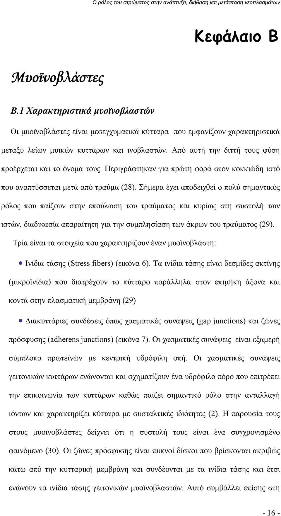 Σήμερα έχει αποδειχθεί ο πολύ σημαντικός ρόλος που παίζουν στην επούλωση του τραύματος και κυρίως στη συστολή των ιστών, διαδικασία απαραίτητη για την συμπλησίαση των άκρων του τραύματος (29).