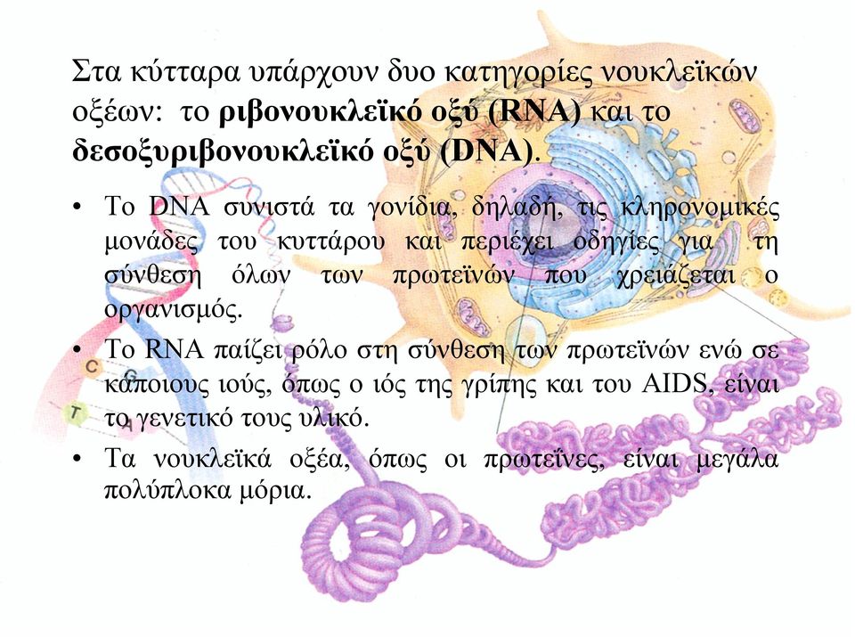 πρωτεϊνών που χρειάζεται ο οργανισµός.