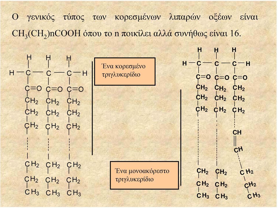 Ένα κορεσµένο τριγλυκερίδιο 2 2 2 2 2 2 2 2 2 2 2 2 2 2 2