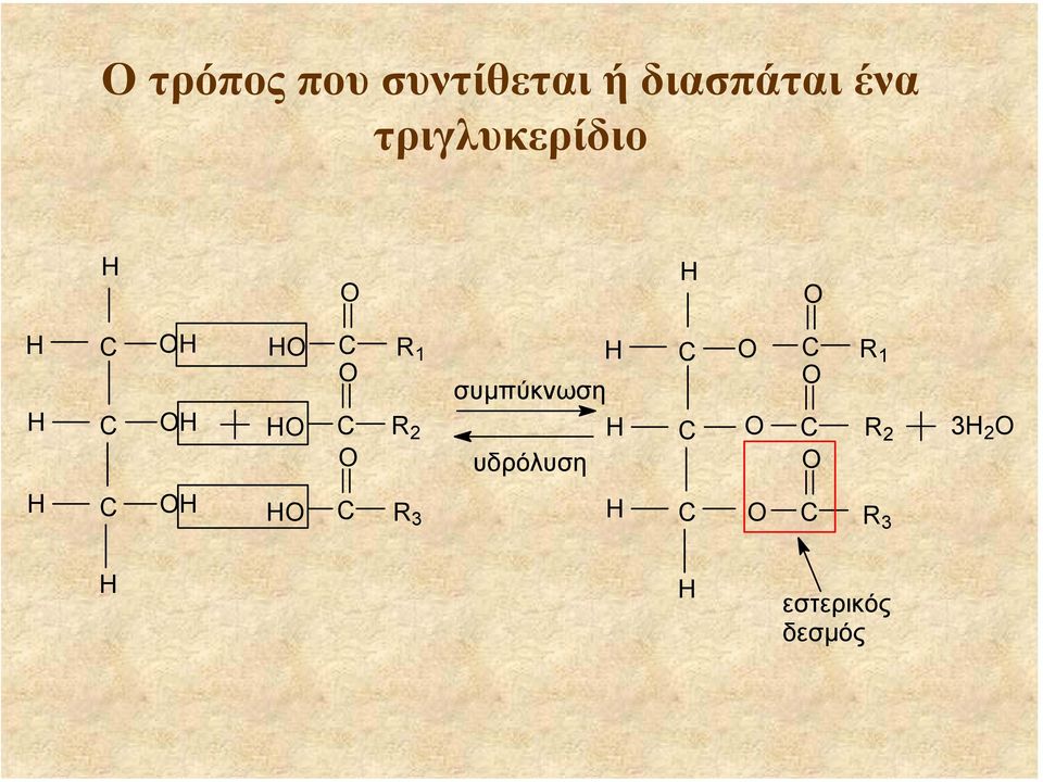 1 R 2 συµπύκνωση υδρόλυση R 1