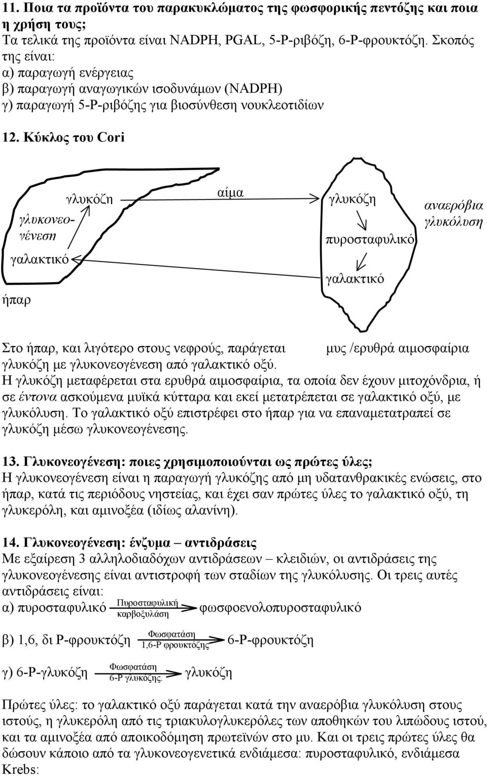 Κύκλος του Cori ήπαρ γλυκονεογένεση γαλακτικό γλυκόζη αίμα γλυκόζη πυροσταφυλικό γαλακτικό αναερόβια γλυκόλυση Στο ήπαρ, και λιγότερο στους νεφρούς, παράγεται μυς /ερυθρά αιμοσφαίρια γλυκόζη με
