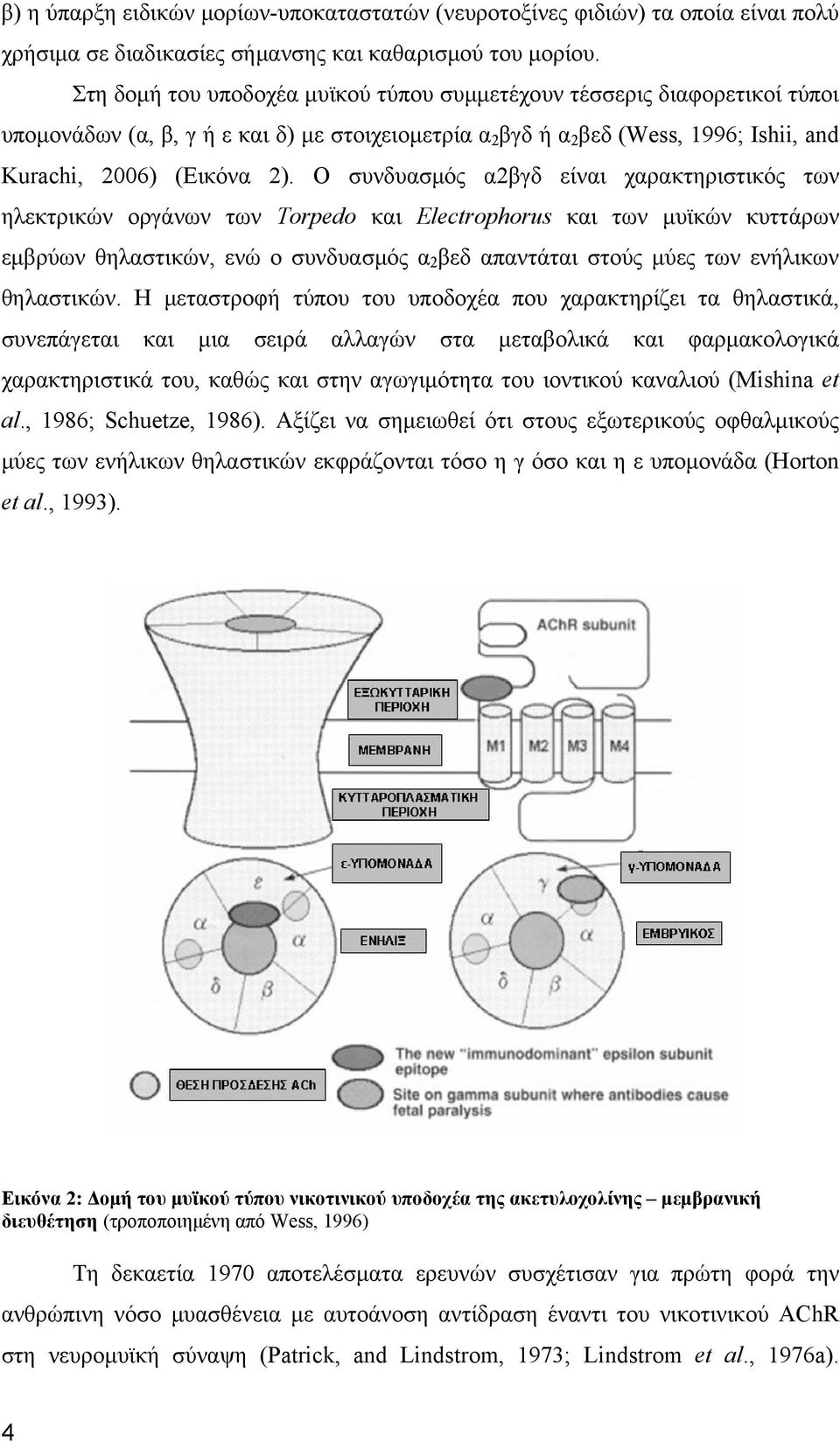Ο συνδυασμός α2βγδ είναι χαρακτηριστικός των ηλεκτρικών οργάνων των Torpedo και Electrophorus και των μυϊκών κυττάρων εμβρύων θηλαστικών, ενώ ο συνδυασμός α 2 βεδ απαντάται στούς μύες των ενήλικων