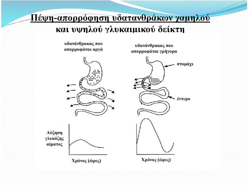 αργά υδατάνθρακας που απορροφάται γρήγορα στομάχι