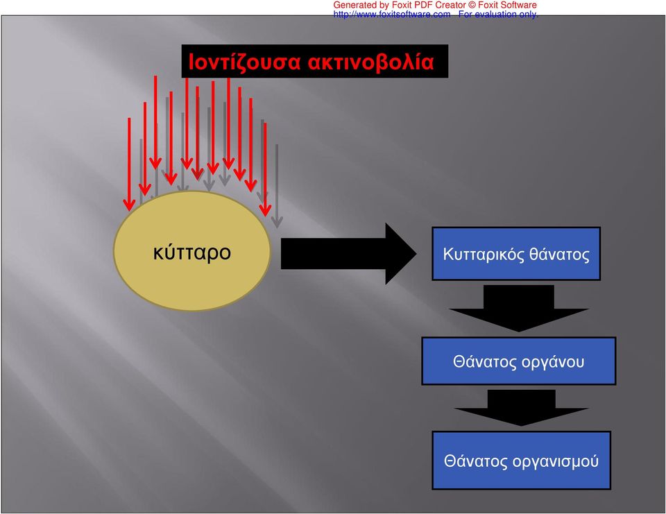 Κυτταρικός θάνατος