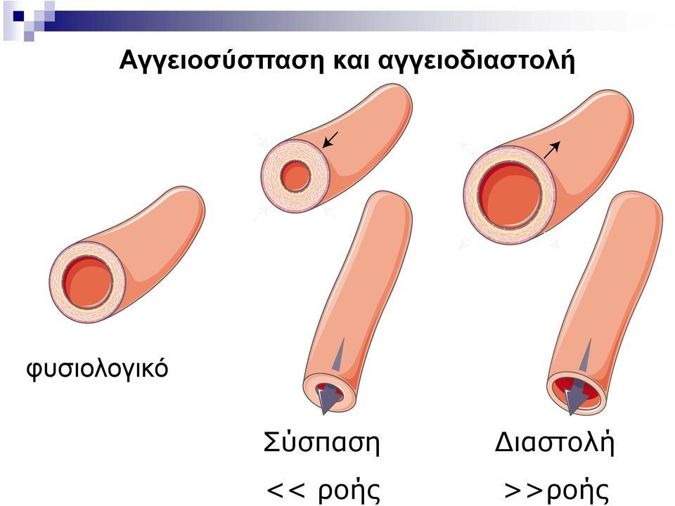 φυσιολογικό