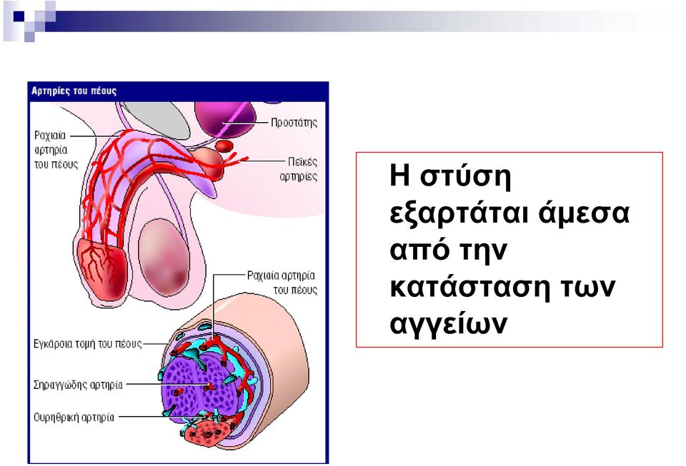 άμεσα από την